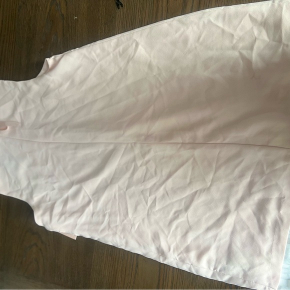 NWT Pink Pleated Trim Dress - Picture 4 of 8